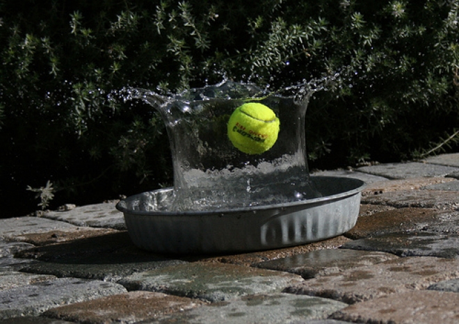 MILANO MARITTIMA - Da sedici anni chiama a raccolta sui campi da tennis le star di tv, sport e spettacolo. Torna il Vip Master Tennis, da oggi a sabato al Circolo Tennis di Milano Marittima.