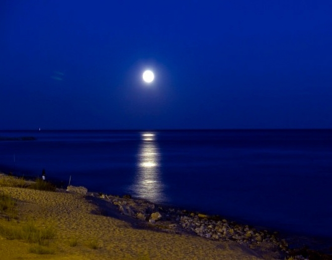 Spiaggia Aperta Proposta Galli