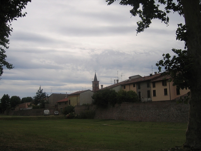 Stelle cadenti Bagnara di Romagna