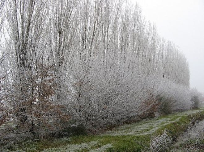  Freddo Emilia Romagna