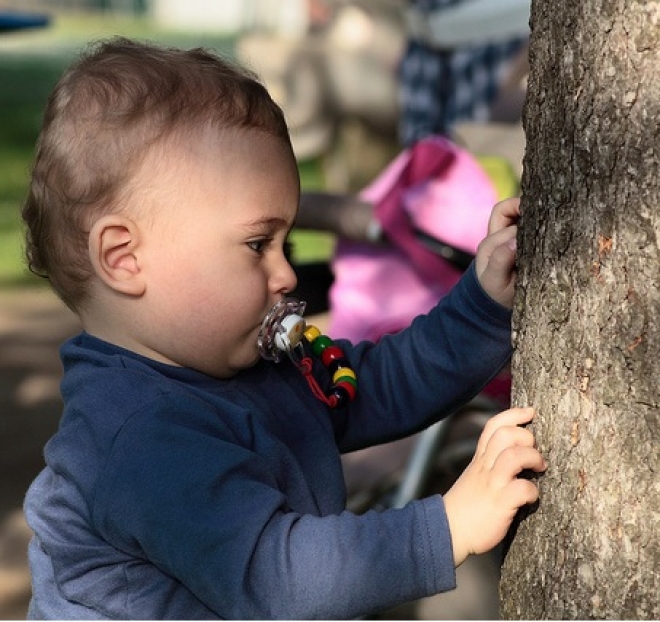 Un Albero Per Bambino Verucchio