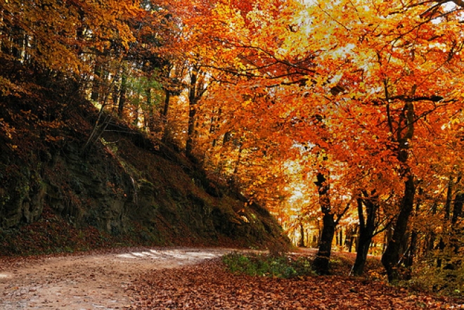 Unione dei Comuni Acquacheta Romagna Toscana