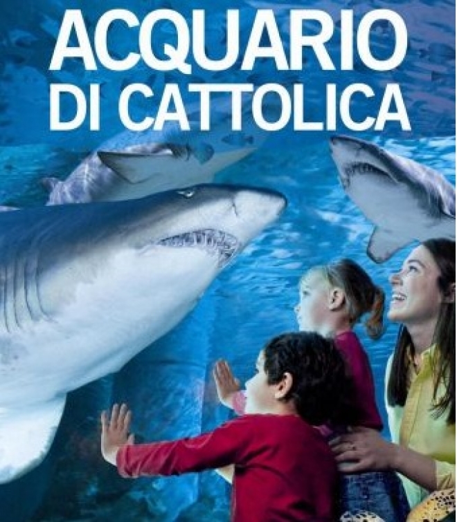 Vasca Squali Acquario Cattolica